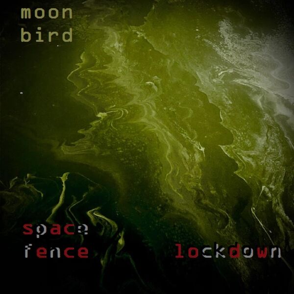 Cover art for Space Fence Lockdown